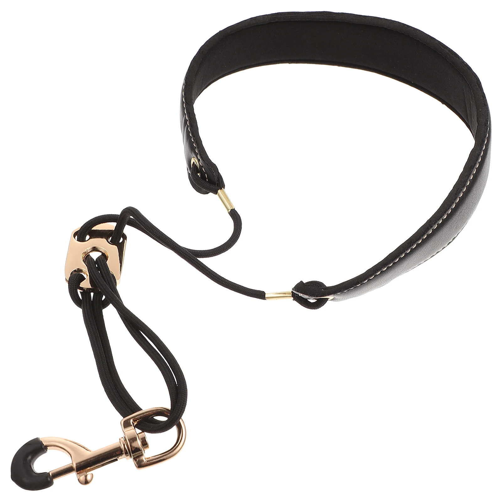 2 Pcs Saxophone Strap Harness Accessory Belt Lanyard Fixing Neck Black Supply Universal
2 Pcs Saxophone Strap Harness Accessory Belt Lanyard Fixing Neck Black Supply Universal