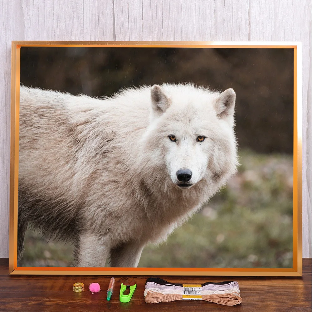 Animal White Wolf Printed Fabric Cross-Stitch Kit DIY Embroidery Craft Knitting Painting Handiwork Mulina Different Room Decor
Animal White Wolf Printed Fabric Cross-Stitch Kit DIY Embroidery Craft Knitting Painting Handiwork Mulina Different Room Decor