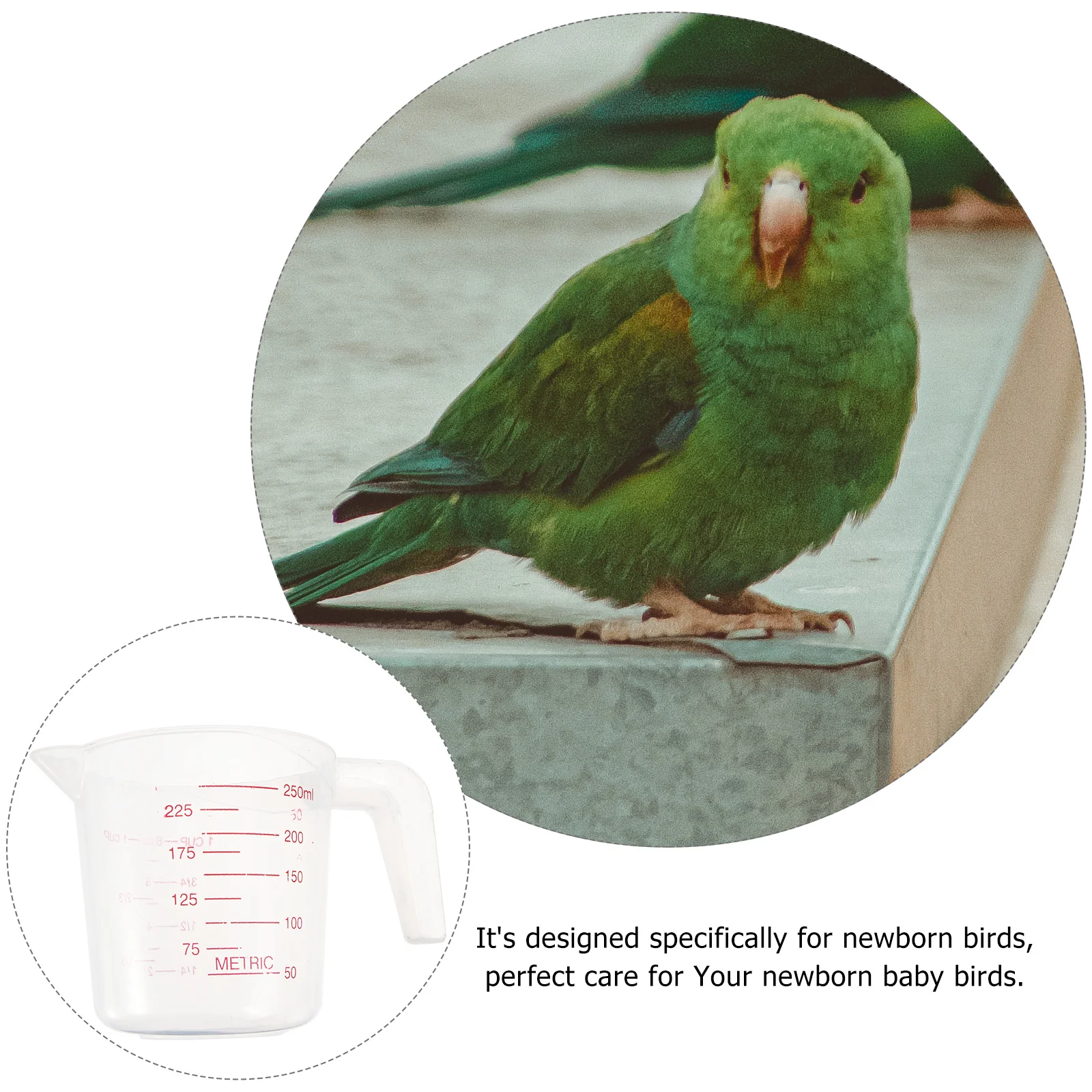 2Pcs Baby Parrot Nursery Cups Professional Feeding Tool Lightweight Durable Measuring Cup for Feeding
2Pcs Baby Parrot Nursery Cups Professional Feeding Tool Lightweight Durable Measuring Cup for Feeding