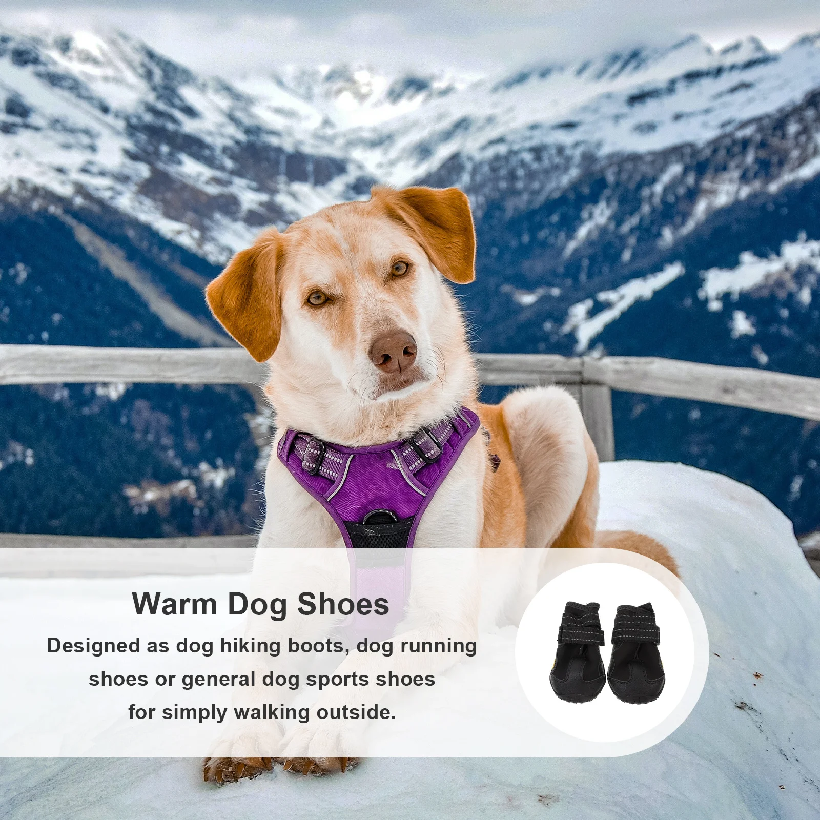 4Pcs Pet Dog Snow Boots Warm Anti-Slip Shoes Black Size 6 for Winter Outdoor Hiking Running Protection Pet Dog Shoes
4Pcs Pet Dog Snow Boots Warm Anti-Slip Shoes Black Size 6 for Winter Outdoor Hiking Running Protection Pet Dog Shoes