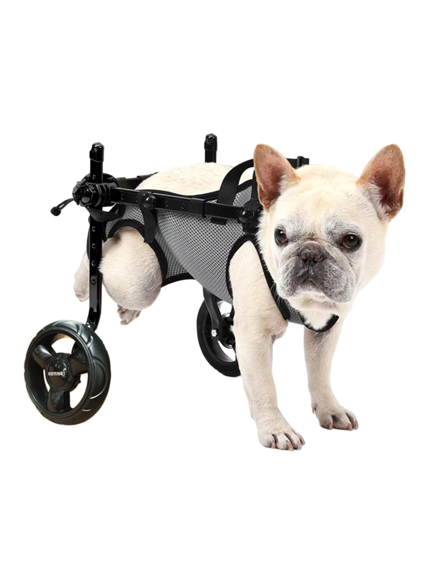 Регулируемая высота и дышащая поддержка инвалидной коляски для собак, 2-колесная конструкция — портативное средство для перевозки домашних животных для травм/артритных собак,
Регулируемая высота и дышащая поддержка инвалидной коляски для собак, 2-колесная конструкция — портативное средство для перевозки домашних животных для травм/артритных собак,