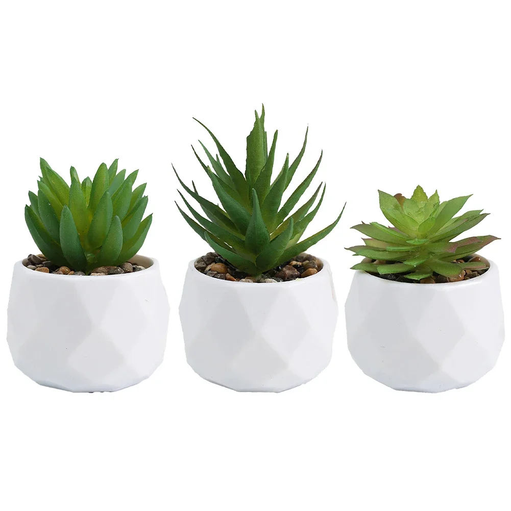 3pcs Beautiful Artificial Succulents Set Simulated Potted Plants Imitation Diamond Flower Pot For Home Desktop Decoration
3pcs Beautiful Artificial Succulents Set Simulated Potted Plants Imitation Diamond Flower Pot For Home Desktop Decoration