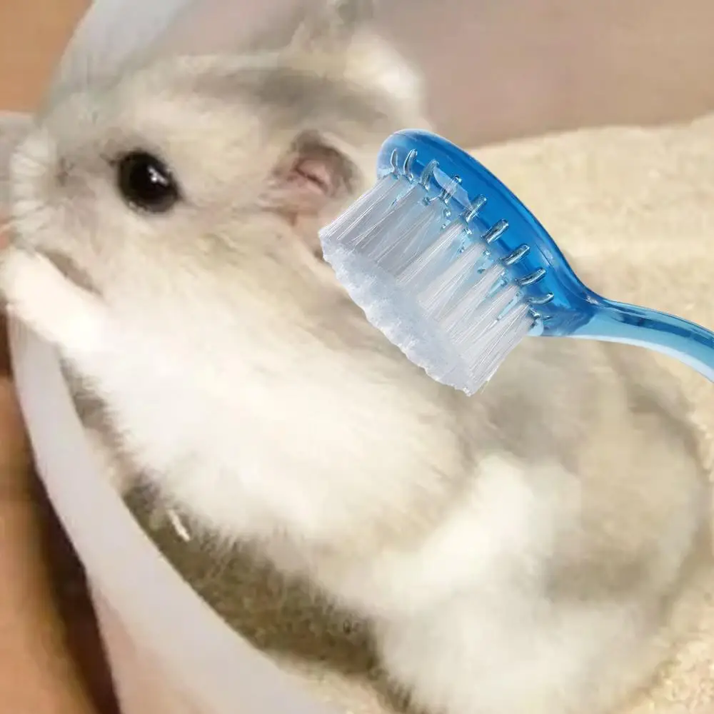 Soft Small Hamster Brush Long Hair Plastic Hedgehog Bathing Brush Bath Mini Brush Round Head Guinea Pig Massage Combs Cleaning
Soft Small Hamster Brush Long Hair Plastic Hedgehog Bathing Brush Bath Mini Brush Round Head Guinea Pig Massage Combs Cleaning