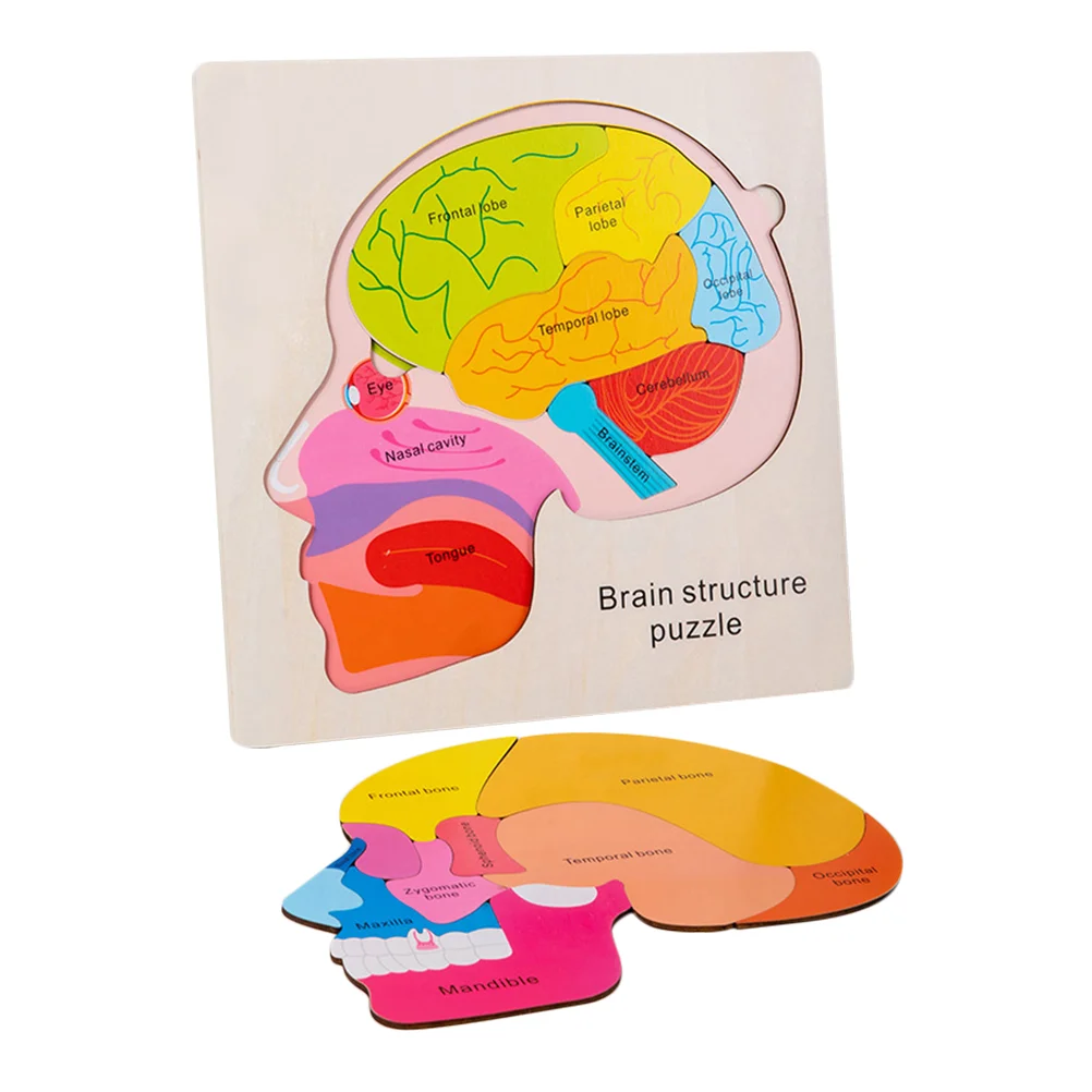 Brain Structure Puzzle for Kids Model Toys Children Wooden Puzzles Brains Toddler
Brain Structure Puzzle for Kids Model Toys Children Wooden Puzzles Brains Toddler