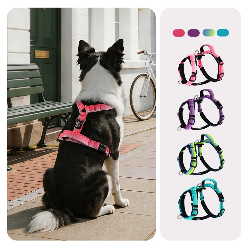 Premium No-Pull Gradient Dog Harness Adjustable Anti-Escape Ultra Comfortable H-style Pet Vest for Medium Large Dogs Arnés Perro
Premium No-Pull Gradient Dog Harness Adjustable Anti-Escape Ultra Comfortable H-style Pet Vest for Medium Large Dogs Arnés Perro