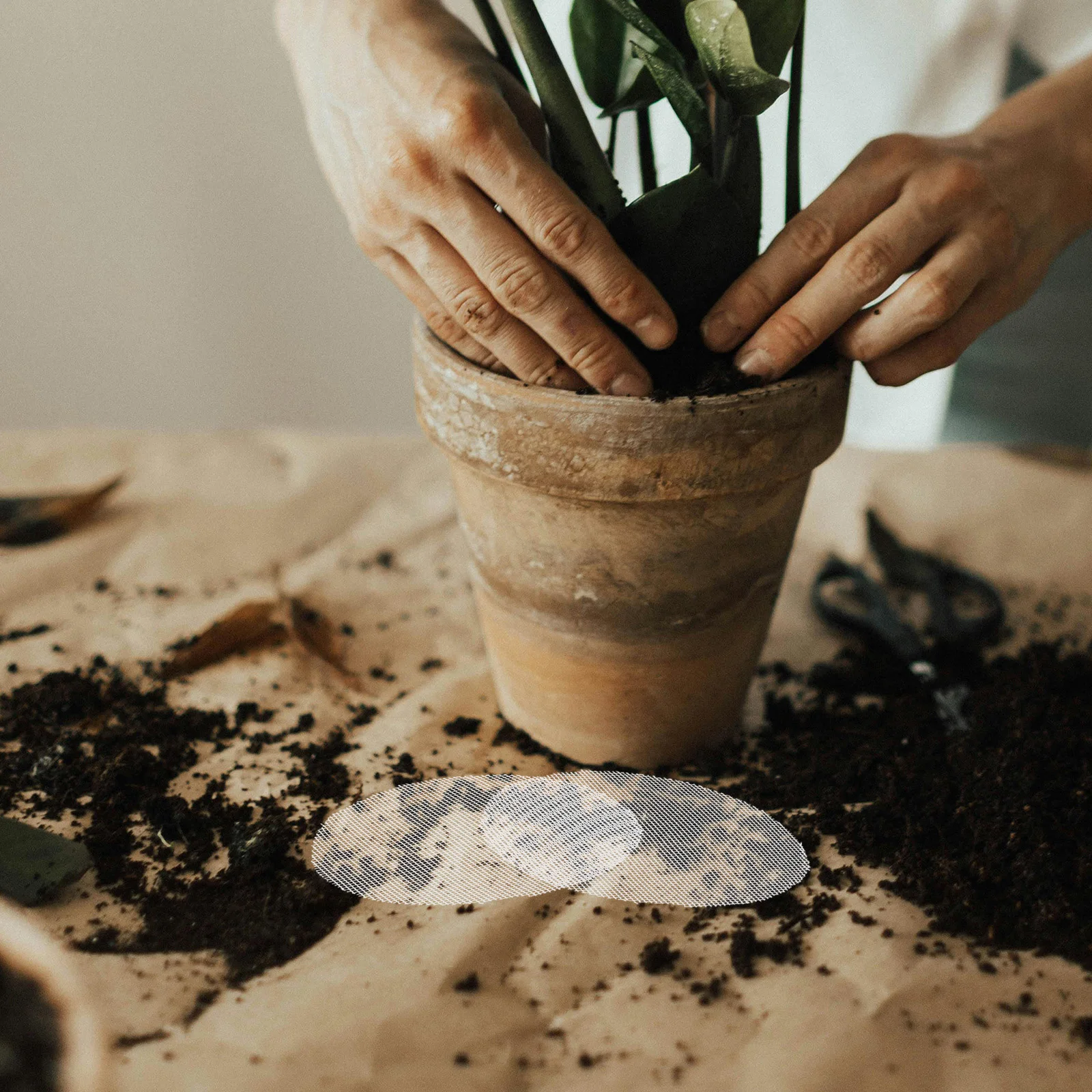 20 Pcs Drainage Mesh Dense Grid Plant Pot Screens Flowerpot Bottom Mats Discs Gasket Cover 
20 Pcs Drainage Mesh Dense Grid Plant Pot Screens Flowerpot Bottom Mats Discs Gasket Cover