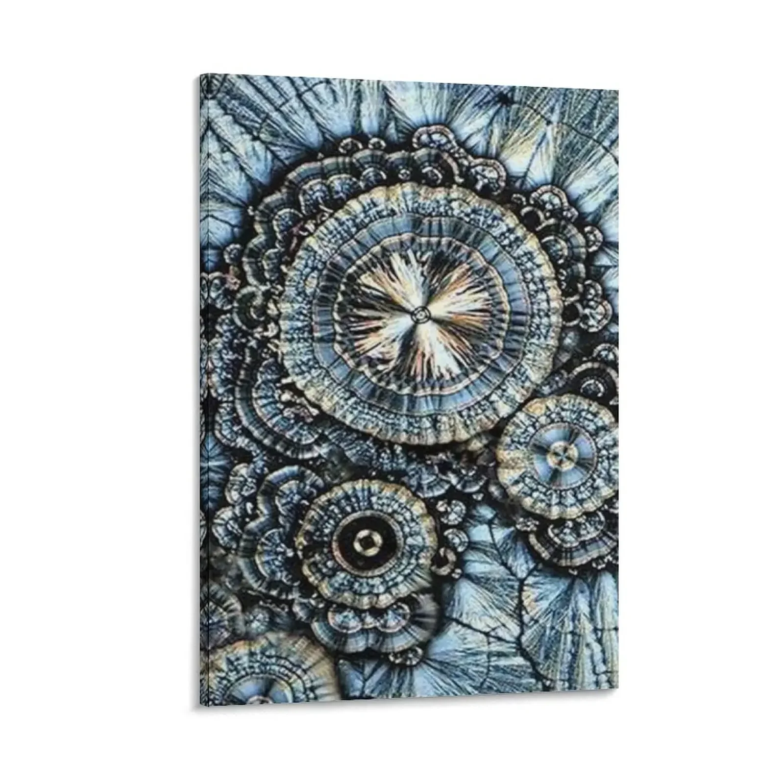 Vitamin C under microscope.Photomicrography Canvas Painting decorative wall poster home decor
Vitamin C under microscope.Photomicrography Canvas Painting decorative wall poster home decor
