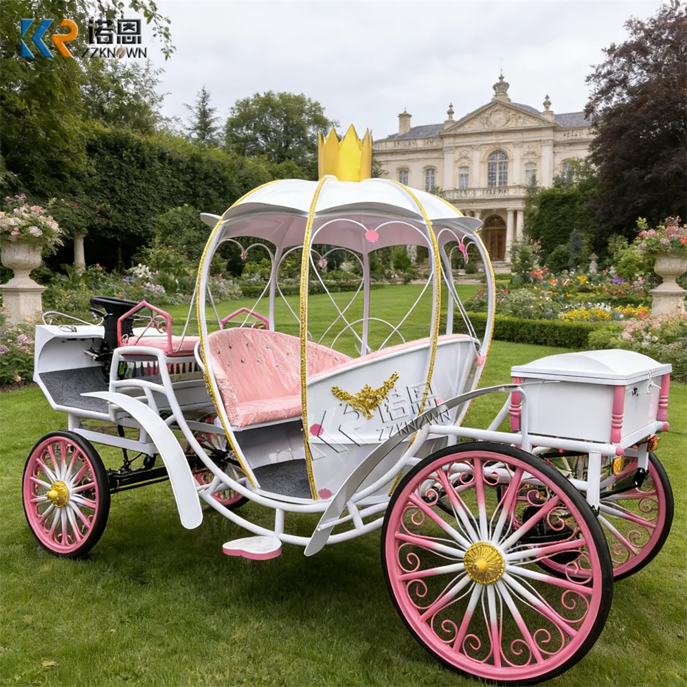 Elegant Customized Pumpkin Horse Carriage Vintage Royal Wedding Horse Drawn Carriage for Events
Elegant Customized Pumpkin Horse Carriage Vintage Royal Wedding Horse Drawn Carriage for Events