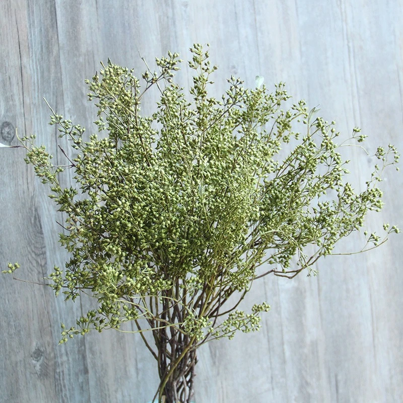 LTT Mori natural dried flowers real flower branches bar home decoration
LTT Mori natural dried flowers real flower branches bar home decoration