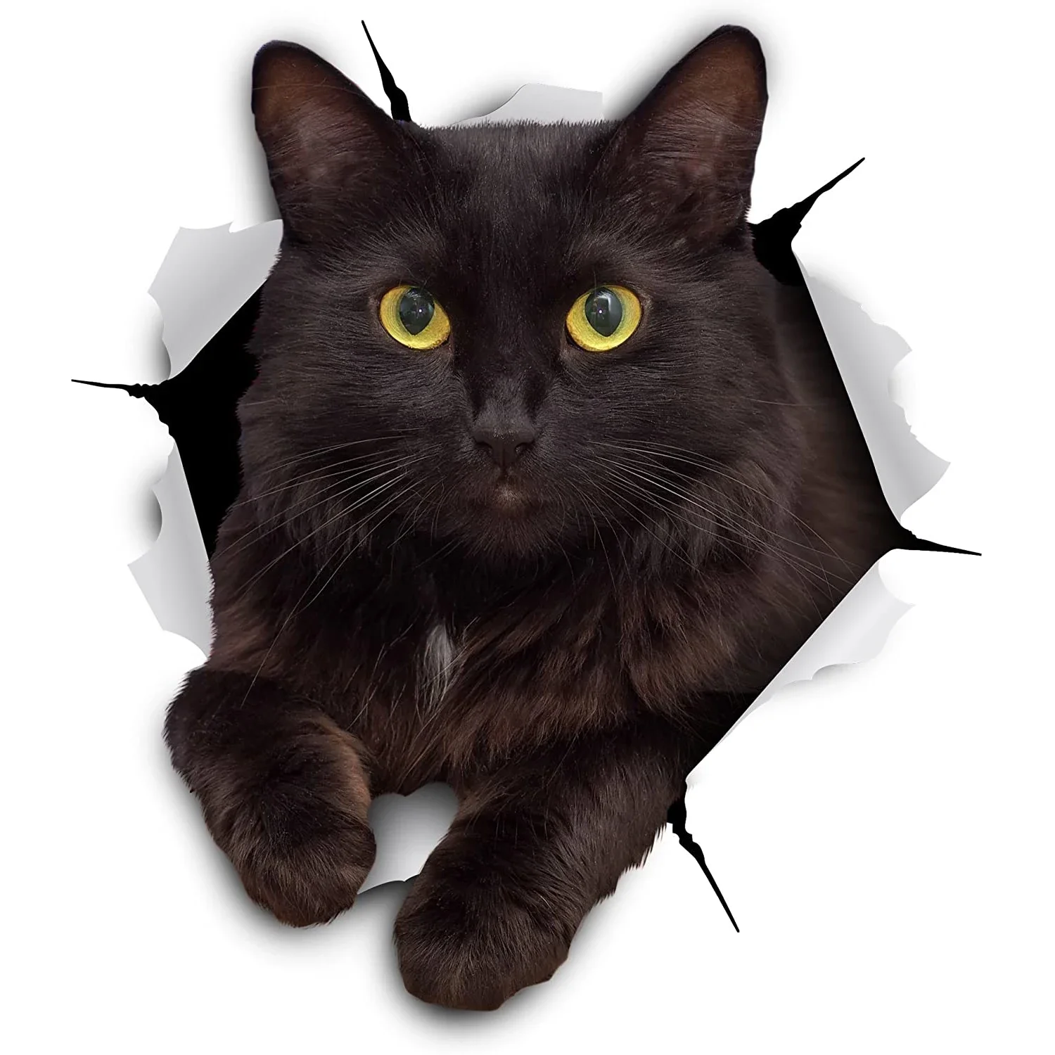 LYKX Black Cat Torn Metal Car Sticker Waterproof Personalized Decal Laptop Truck Motorcycle Auto Accessories PVC Decals
LYKX Black Cat Torn Metal Car Sticker Waterproof Personalized Decal Laptop Truck Motorcycle Auto Accessories PVC Decals