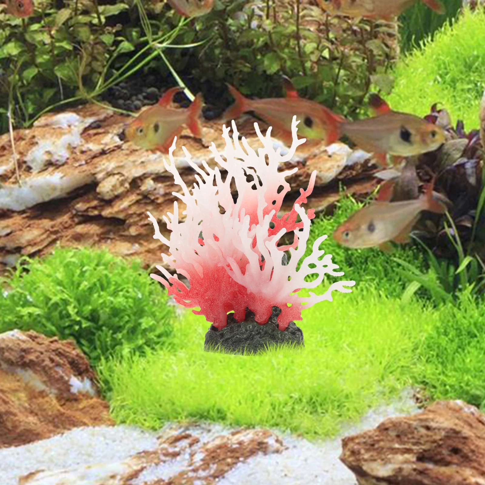 Large Pink Decorations PVC Fish Tank Aquarium naments Reef Coral naments For Aquarium Tank AccessoriesCoral fish tank decor
Large Pink Decorations PVC Fish Tank Aquarium naments Reef Coral naments For Aquarium Tank AccessoriesCoral fish tank decor