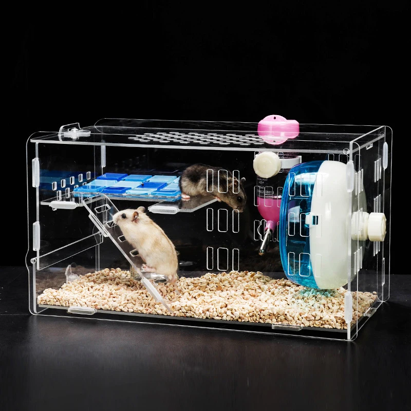 Acrylic Hamster Cage 2-Layer Small Pet House For Dwarf Hamsters Small Pet House Hamster Cage Small Animal Cage With Accessories
Acrylic Hamster Cage 2-Layer Small Pet House For Dwarf Hamsters Small Pet House Hamster Cage Small Animal Cage With Accessories