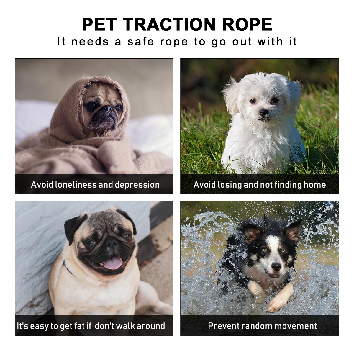 Pet Leash Portable Retractable Dog for Small Dogs Accessories Leashes Supplies Traction Rope
Pet Leash Portable Retractable Dog for Small Dogs Accessories Leashes Supplies Traction Rope