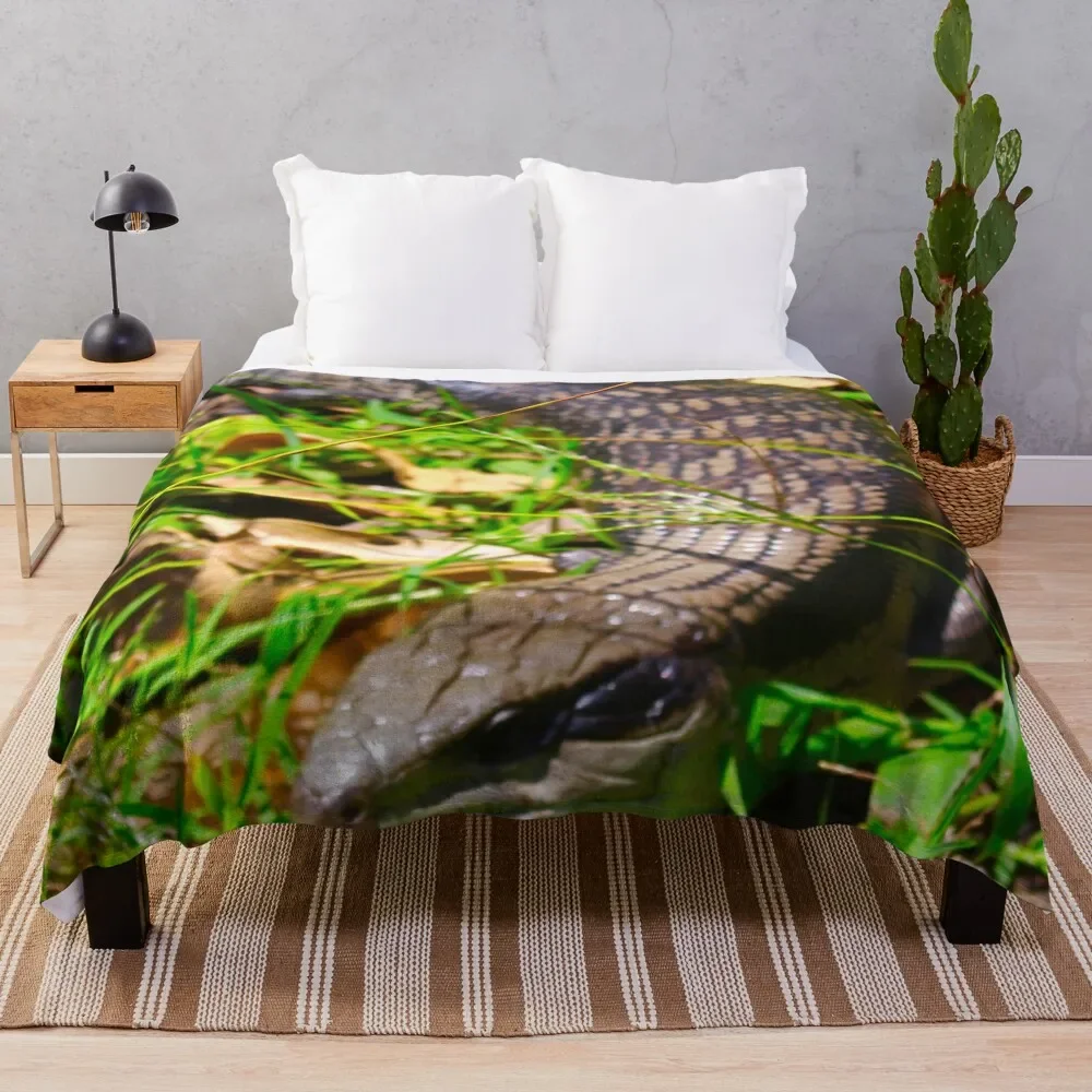 Blue Tongue Lizard in the Garden! Throw Blanket christmas gifts Giant Sofa Blankets
Blue Tongue Lizard in the Garden! Throw Blanket christmas gifts Giant Sofa Blankets