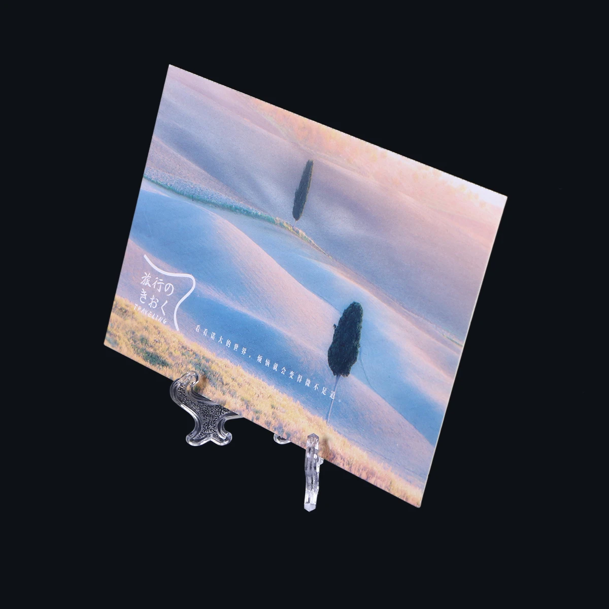 12pcs Foldable Display Easel St Plate Holder Photo Pedestal Showroom Artwork Collector Flat Objects Magazine Book
12pcs Foldable Display Easel St Plate Holder Photo Pedestal Showroom Artwork Collector Flat Objects Magazine Book