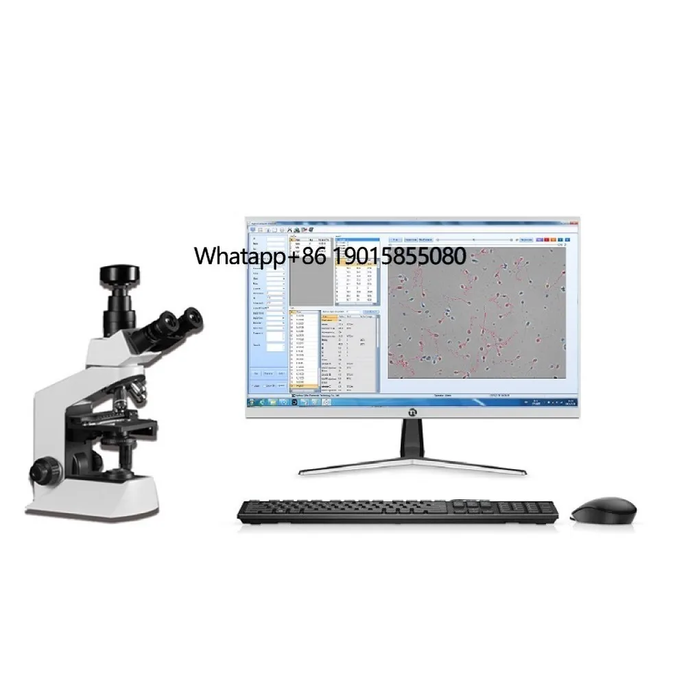 Veterinary Breeding Equipment Professional Sperm Quality Analyzer with Microscope and Trajectory Analysis Software Lab Use
Veterinary Breeding Equipment Professional Sperm Quality Analyzer with Microscope and Trajectory Analysis Software Lab Use