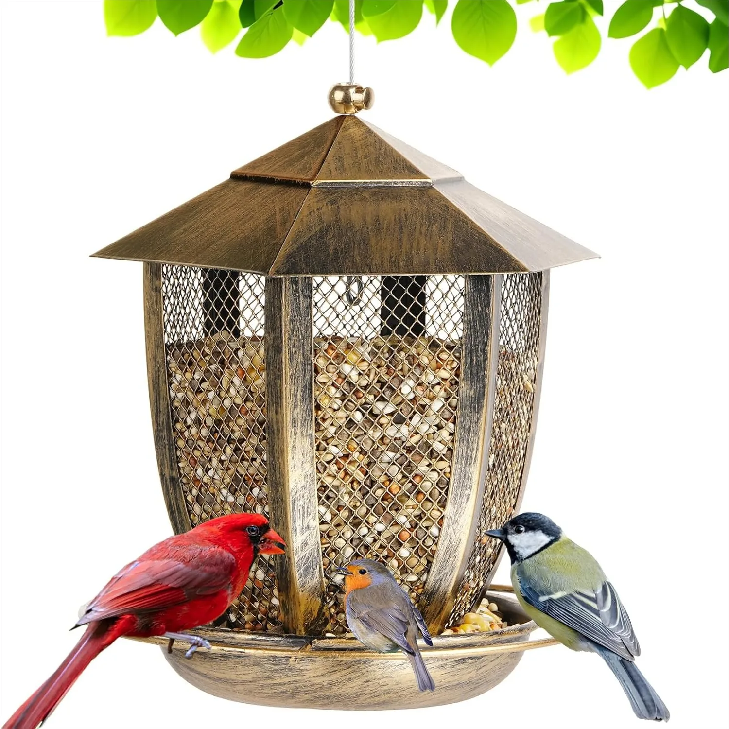 Hexagon Lantern Bird Feeder for Outside, Heavy Duty Metal Wild Bird Feeder Hanging for Garden Yard with 360° Feeding Port
Hexagon Lantern Bird Feeder for Outside, Heavy Duty Metal Wild Bird Feeder Hanging for Garden Yard with 360° Feeding Port