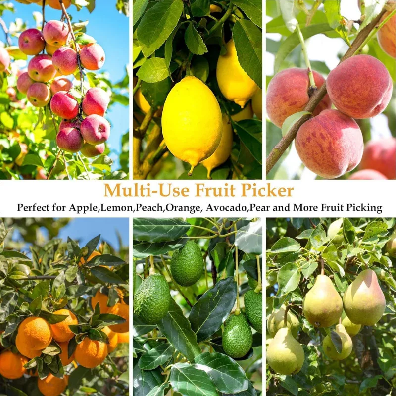 Garden Tools High-Altitude Fruit Picker Fruit Picking Tool Stainless Steel Extension Pole
Garden Tools High-Altitude Fruit Picker Fruit Picking Tool Stainless Steel Extension Pole