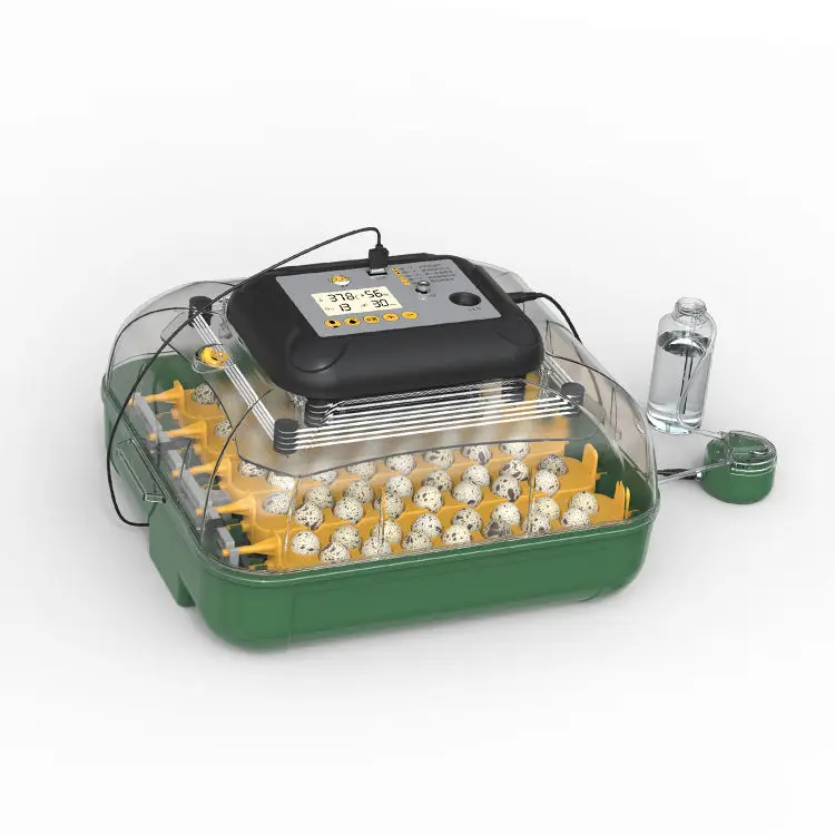 Высококачественный автоматический многофункциональный инкубатор для яиц для цыплят, уток, гусей и страуса, новый сорт, использование на ферме
Высококачественный автоматический многофункциональный инкубатор для яиц для цыплят, уток, гусей и страуса, новый сорт, использование на ферме