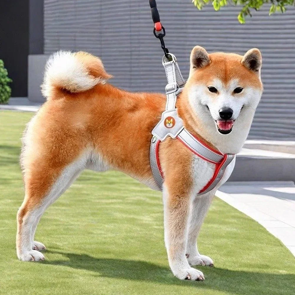 Shiba Inu Harness Pet Dog Harness Leash Set Reflective Adjustable No Pull Harness For Small/Medium Dogs Shiba Inu Akita Dog
Shiba Inu Harness Pet Dog Harness Leash Set Reflective Adjustable No Pull Harness For Small/Medium Dogs Shiba Inu Akita Dog