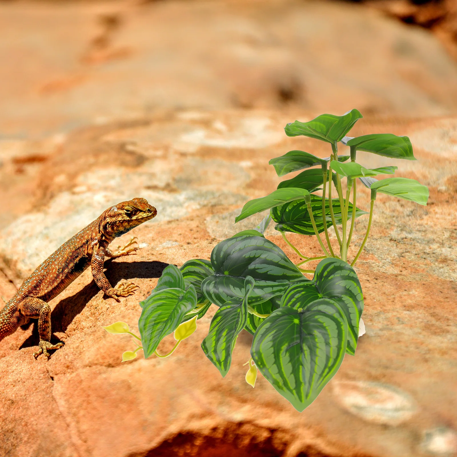 Realistic Reptile Terrarium Plant Artificial Resin Simulation Plant Decor for Aquarium Fish Tank Landscape Ornament
Realistic Reptile Terrarium Plant Artificial Resin Simulation Plant Decor for Aquarium Fish Tank Landscape Ornament