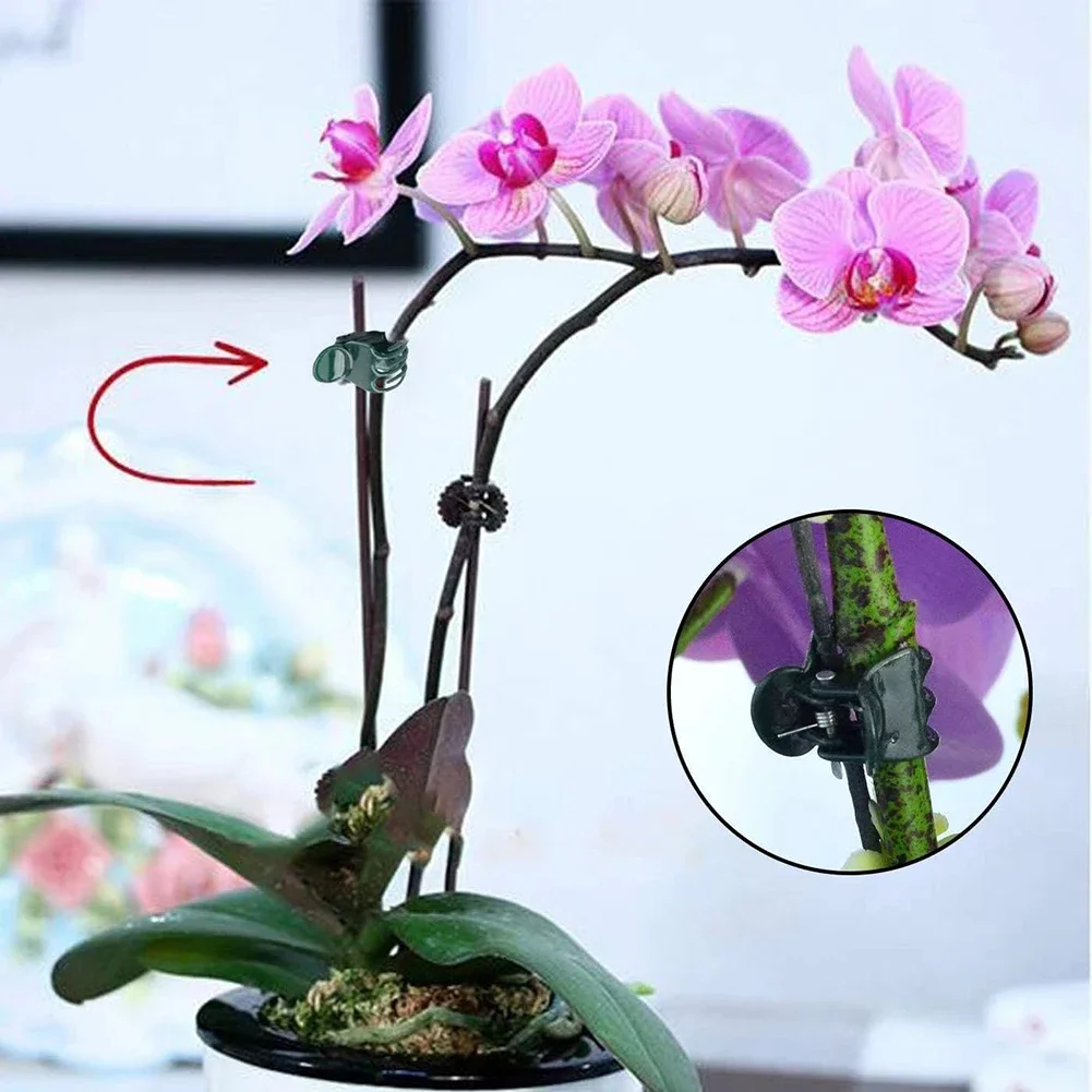 Garden Clips 40*0.3*0.3cm Orchid Support Robust Material Versatile Support Adjustable Height Easy Installation
Garden Clips 40*0.3*0.3cm Orchid Support Robust Material Versatile Support Adjustable Height Easy Installation