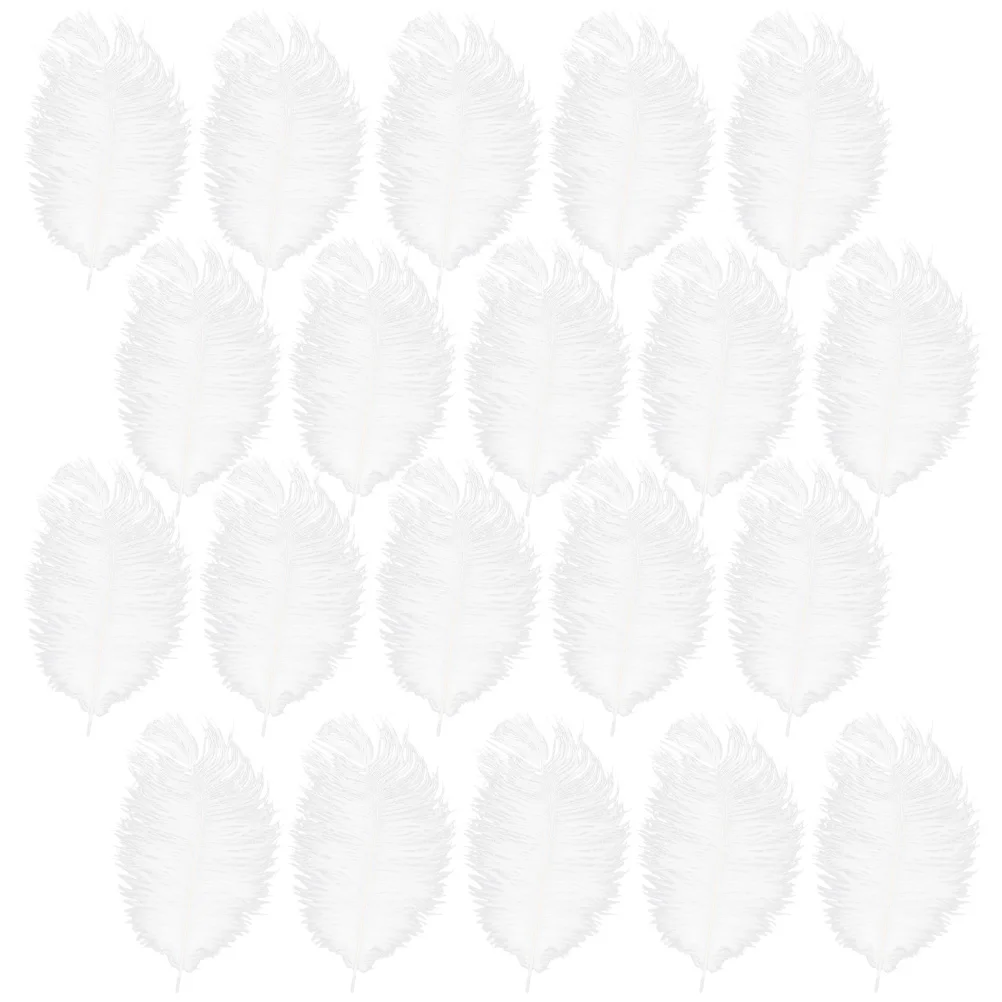 20 Pcs White Plumes Decorative DIY Crafts Wedding Party Home Accessories School Wedding Plume Decoration Events
20 Pcs White Plumes Decorative DIY Crafts Wedding Party Home Accessories School Wedding Plume Decoration Events