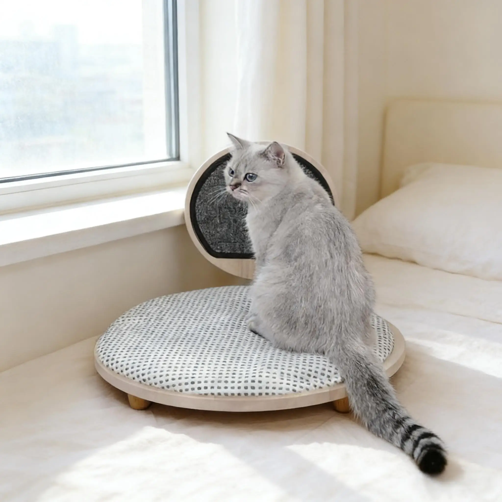 Universal Removable Washable Modern Pet Bed For All Seasons Eco-Friendly Small Size Cat Dog Nest Made Rubber Wood Carton Oval
Universal Removable Washable Modern Pet Bed For All Seasons Eco-Friendly Small Size Cat Dog Nest Made Rubber Wood Carton Oval