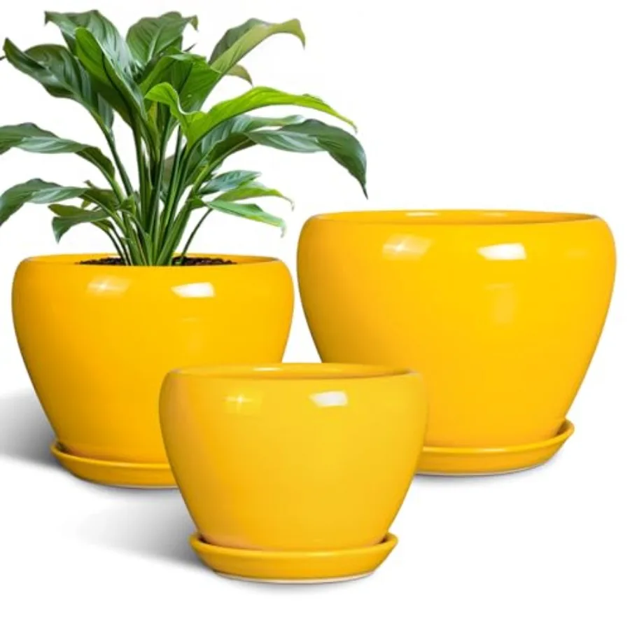 Ceramic Planters Set of 3 - Modern Round 10+8+6 Inch Indoor Outdoor Plant Pots, Yellow, with Drainage Holes and Matching Trays
Ceramic Planters Set of 3 - Modern Round 10+8+6 Inch Indoor Outdoor Plant Pots, Yellow, with Drainage Holes and Matching Trays