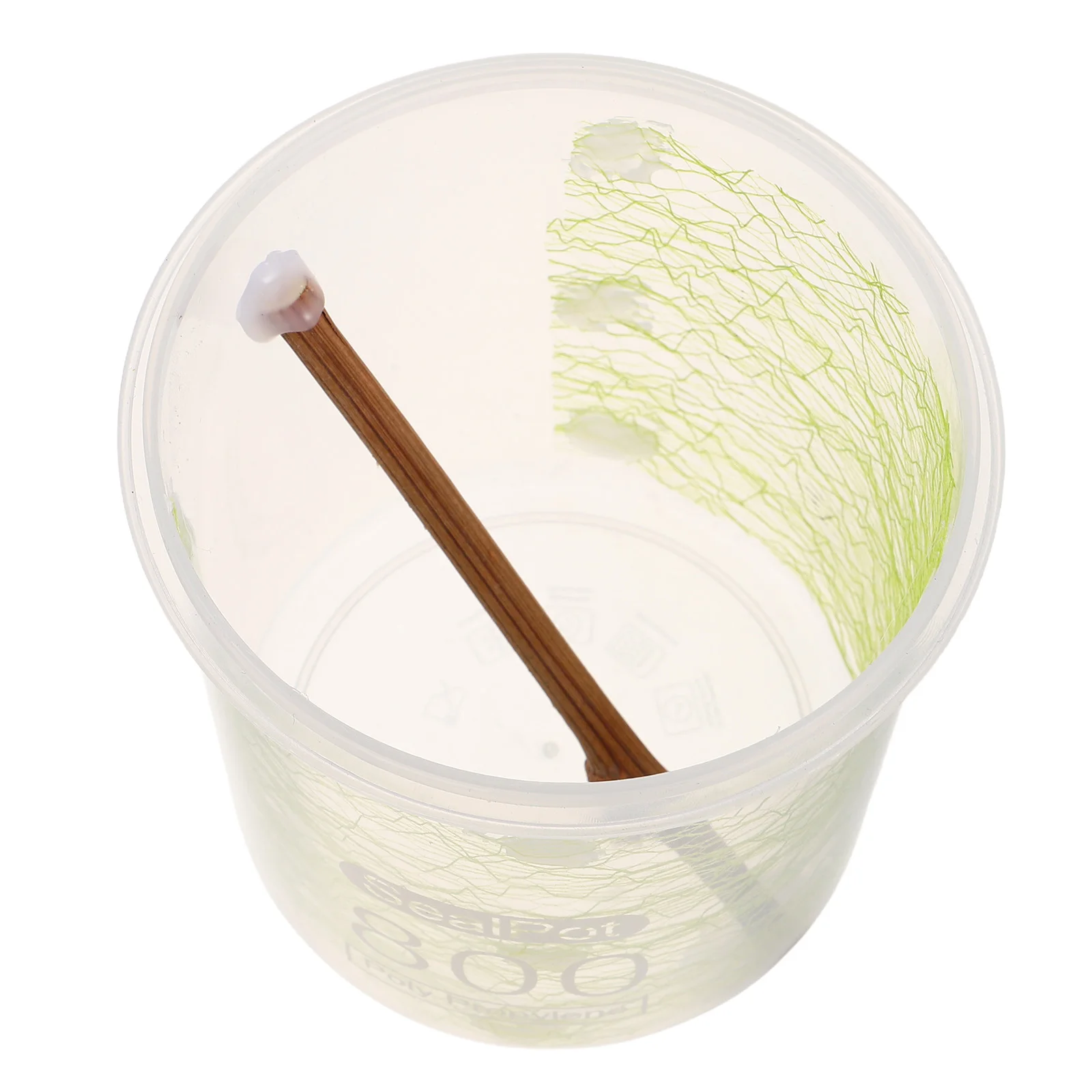 Mantis Breeding Box Transparent Small Plastic Insect Cage for Pet Spider Reptile Habitat Easy Clean Gecko Tank Jumping Tarantula
Mantis Breeding Box Transparent Small Plastic Insect Cage for Pet Spider Reptile Habitat Easy Clean Gecko Tank Jumping Tarantula