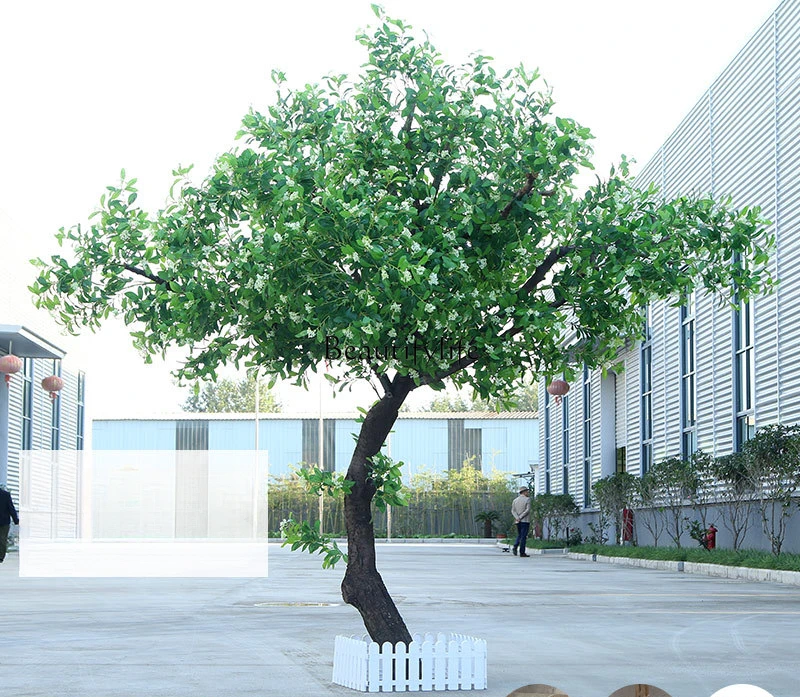 Simulation osmanthus tree large wishing tree hotel shopping mall decoration floor green plants
Simulation osmanthus tree large wishing tree hotel shopping mall decoration floor green plants