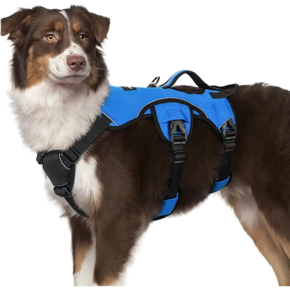 Padded Full Body Pet Harness, Reflective Adjustable No Pull Vest with Lit Handle and Leash Clip for Large Dogs Walking Hiking Tr
Padded Full Body Pet Harness, Reflective Adjustable No Pull Vest with Lit Handle and Leash Clip for Large Dogs Walking Hiking Tr