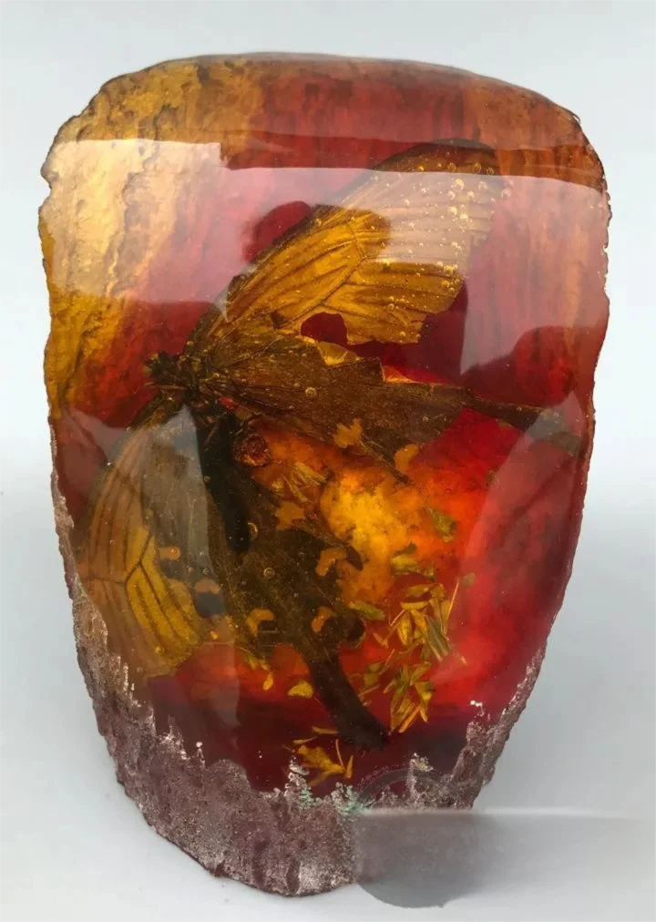 Simulated Beeswax Amber with Real Butterfly & Gecko Specimen, Insect Plant Fossil Craft, Collectible Handheld Decor
Simulated Beeswax Amber with Real Butterfly & Gecko Specimen, Insect Plant Fossil Craft, Collectible Handheld Decor