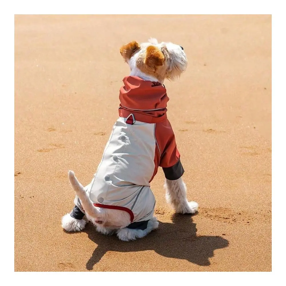 Quality Pet Raincoat, Reflective Adjustable Collar With Leash Hole, Suitable Medium Small Dogs, Waterproof Outdoor Walking Spor
Quality Pet Raincoat, Reflective Adjustable Collar With Leash Hole, Suitable Medium Small Dogs, Waterproof Outdoor Walking Spor