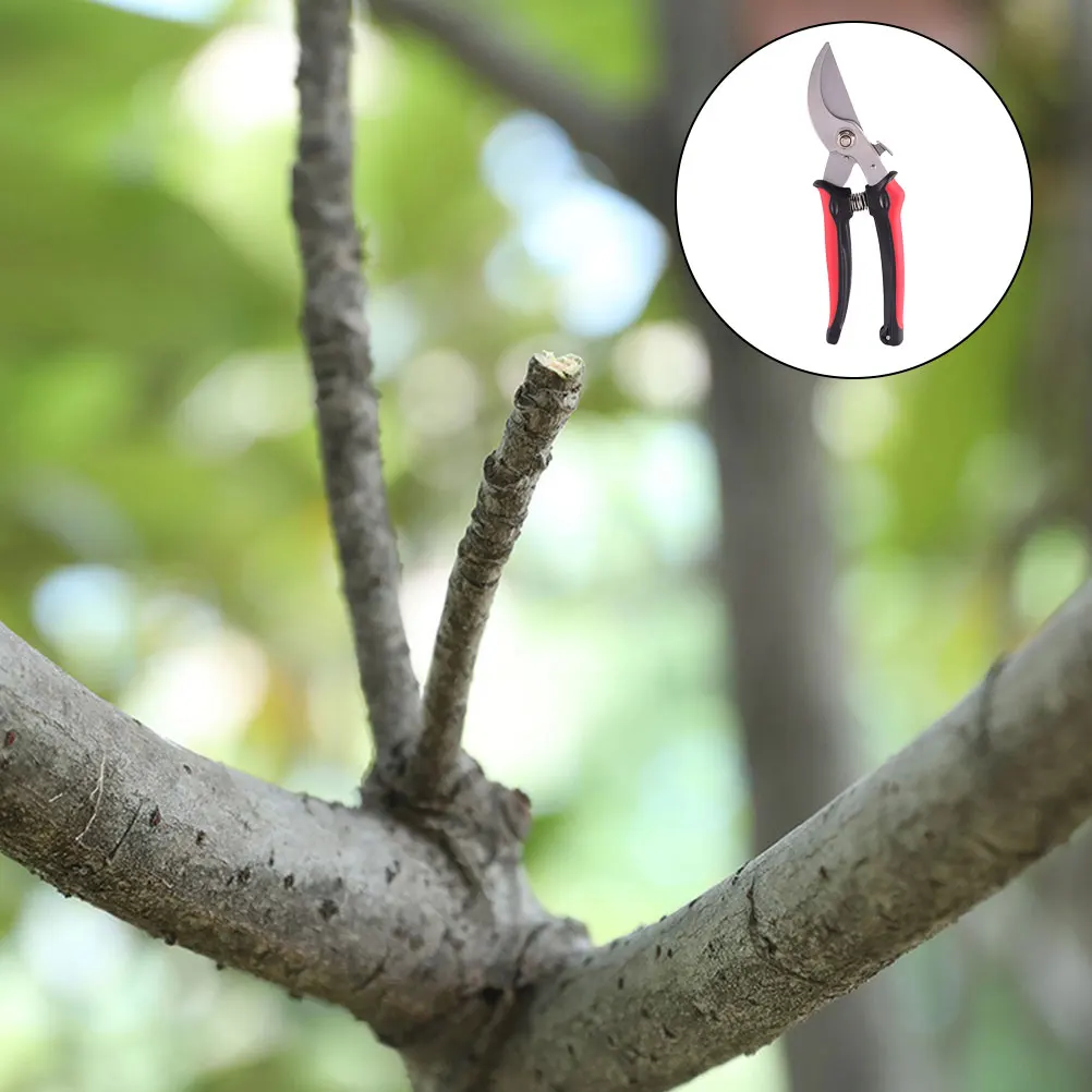 Garden Pruning Shears Stainless Steel Plastic Safety Lock H Pruner Tree Trimming Tools Scissors Gardening Branch Tool
Garden Pruning Shears Stainless Steel Plastic Safety Lock H Pruner Tree Trimming Tools Scissors Gardening Branch Tool