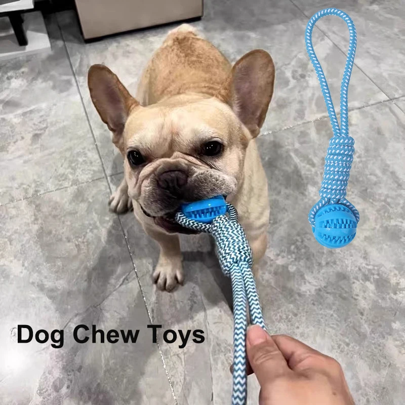 Pet Dog Chew Toys Rubber Ball Toy Bite Resistant Puppy Interactive Rope Chewing Pet Playing Toys 
Pet Dog Chew Toys Rubber Ball Toy Bite Resistant Puppy Interactive Rope Chewing Pet Playing Toys