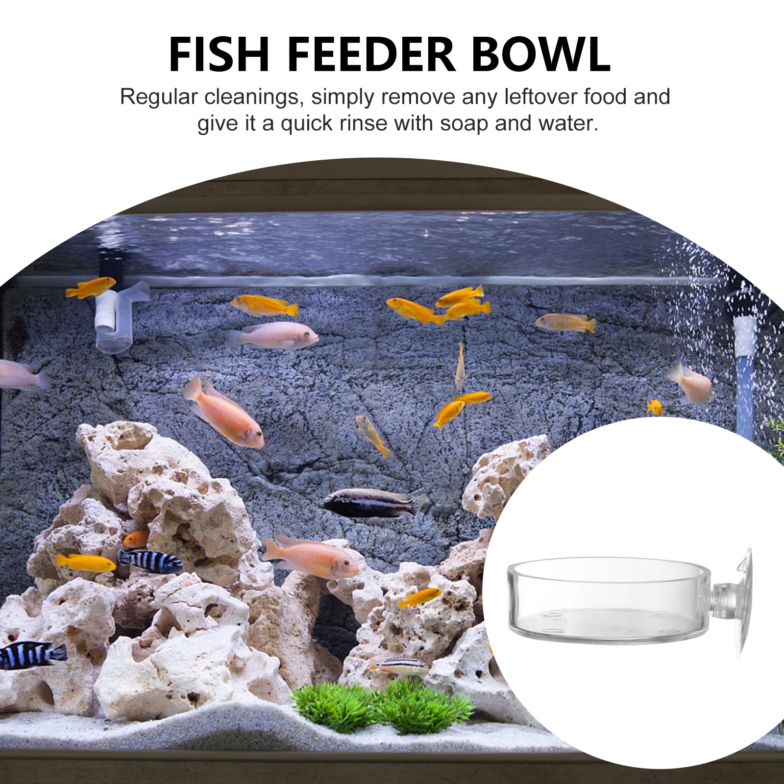 5pcs Feeder Bowl Adjustable Aquarium Feeding Tray Transparent Acrylic Fish Food Container Suction Cup Strong Absorption Easy
5pcs Feeder Bowl Adjustable Aquarium Feeding Tray Transparent Acrylic Fish Food Container Suction Cup Strong Absorption Easy