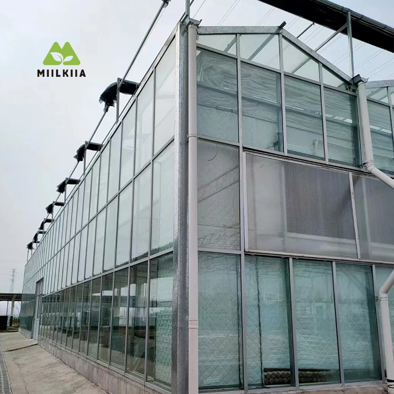 PC Sheet Greenhouse – Durable, Energy-Saving Greenhouse for Commercial Growing
PC Sheet Greenhouse – Durable, Energy-Saving Greenhouse for Commercial Growing