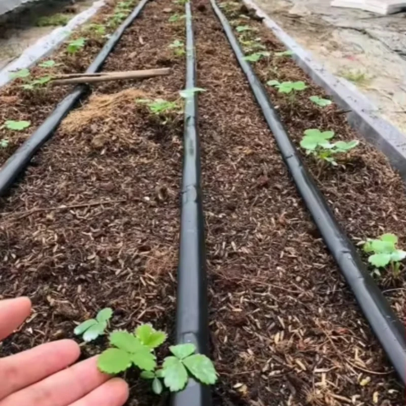 Durable plastic drip irrigation belt and system attachment for 1 hectare drip irrigation system drip irrigation belt
Durable plastic drip irrigation belt and system attachment for 1 hectare drip irrigation system drip irrigation belt