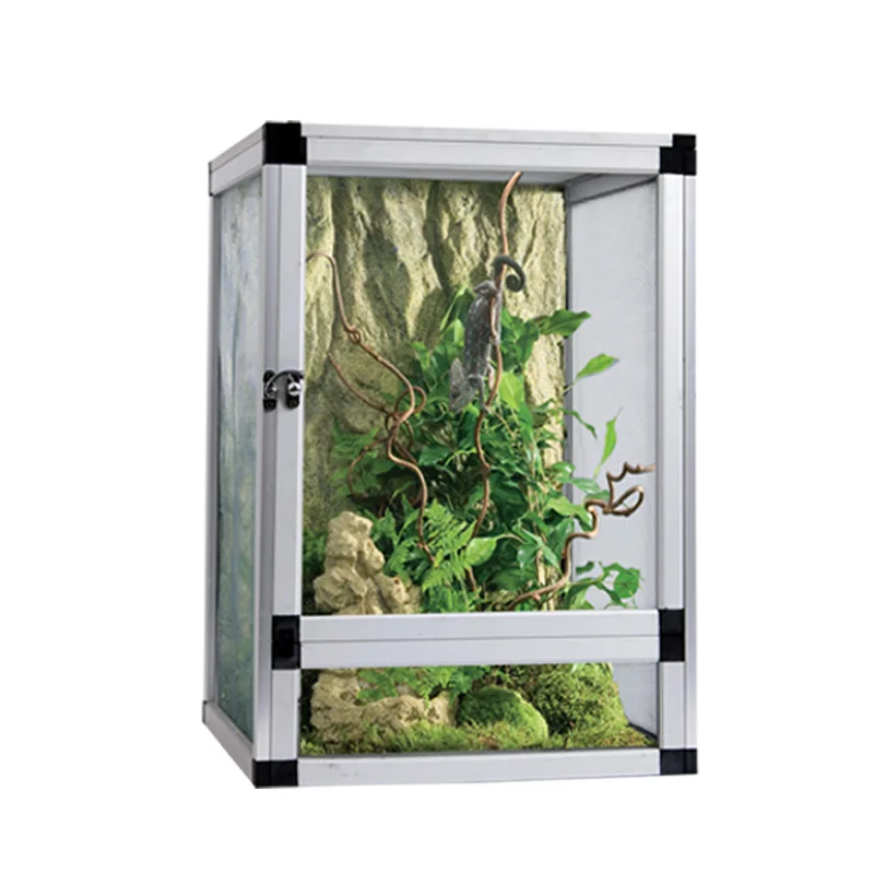 Pet cage feeding box chameleon eyelash horn palace guardian reptile high crown colorful
Pet cage feeding box chameleon eyelash horn palace guardian reptile high crown colorful