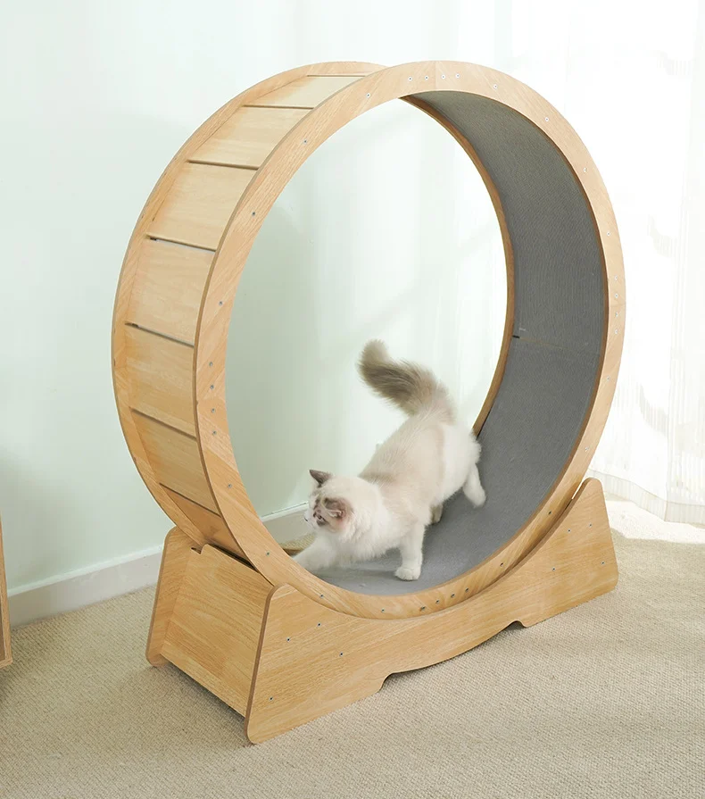 Birch/Oak Wooden Cat Treadmill Silent Multi-Layer Climbing Toy Indoor Exercise Furniture with Running Wheel for Cats
Birch/Oak Wooden Cat Treadmill Silent Multi-Layer Climbing Toy Indoor Exercise Furniture with Running Wheel for Cats