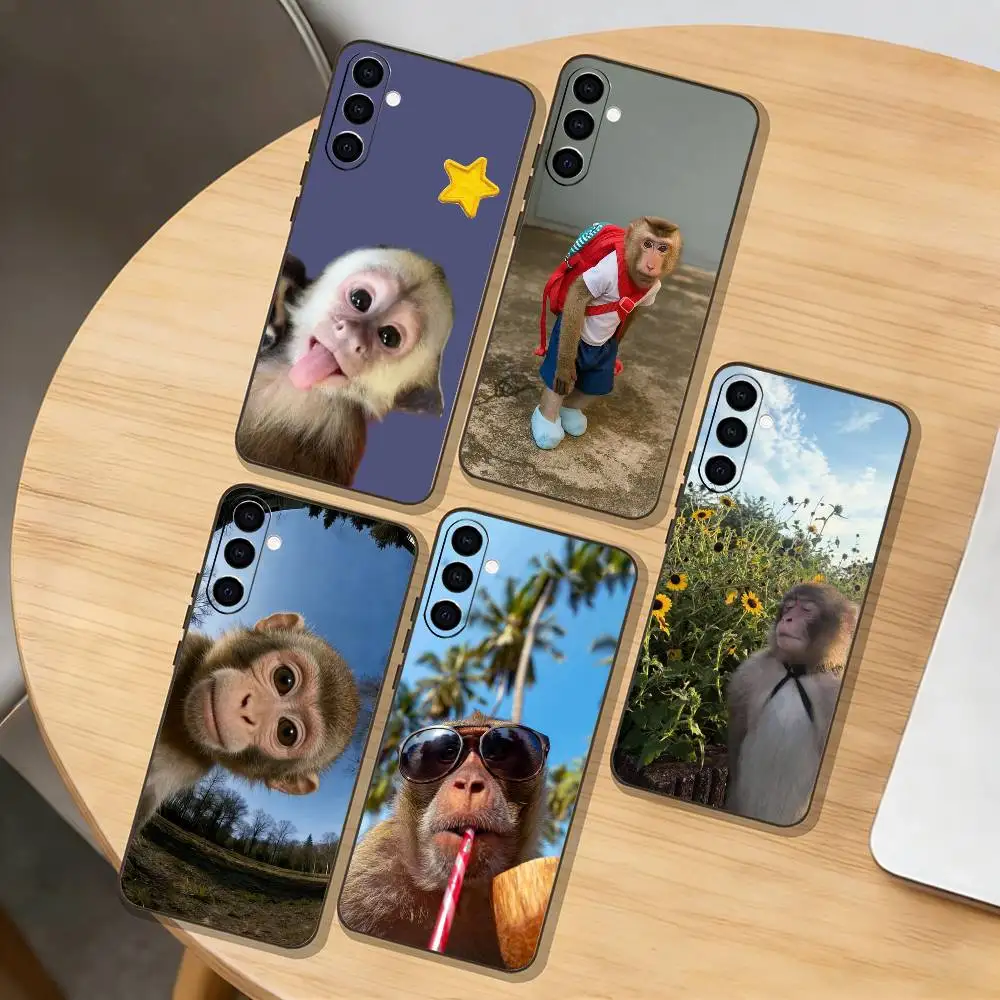 m-Monkey abstract Funny Phone Case For Samsung Galaxy A73,A72,A71,A70,A53,A52,A51,Others Soft Black Cover
m-Monkey abstract Funny Phone Case For Samsung Galaxy A73,A72,A71,A70,A53,A52,A51,Others Soft Black Cover