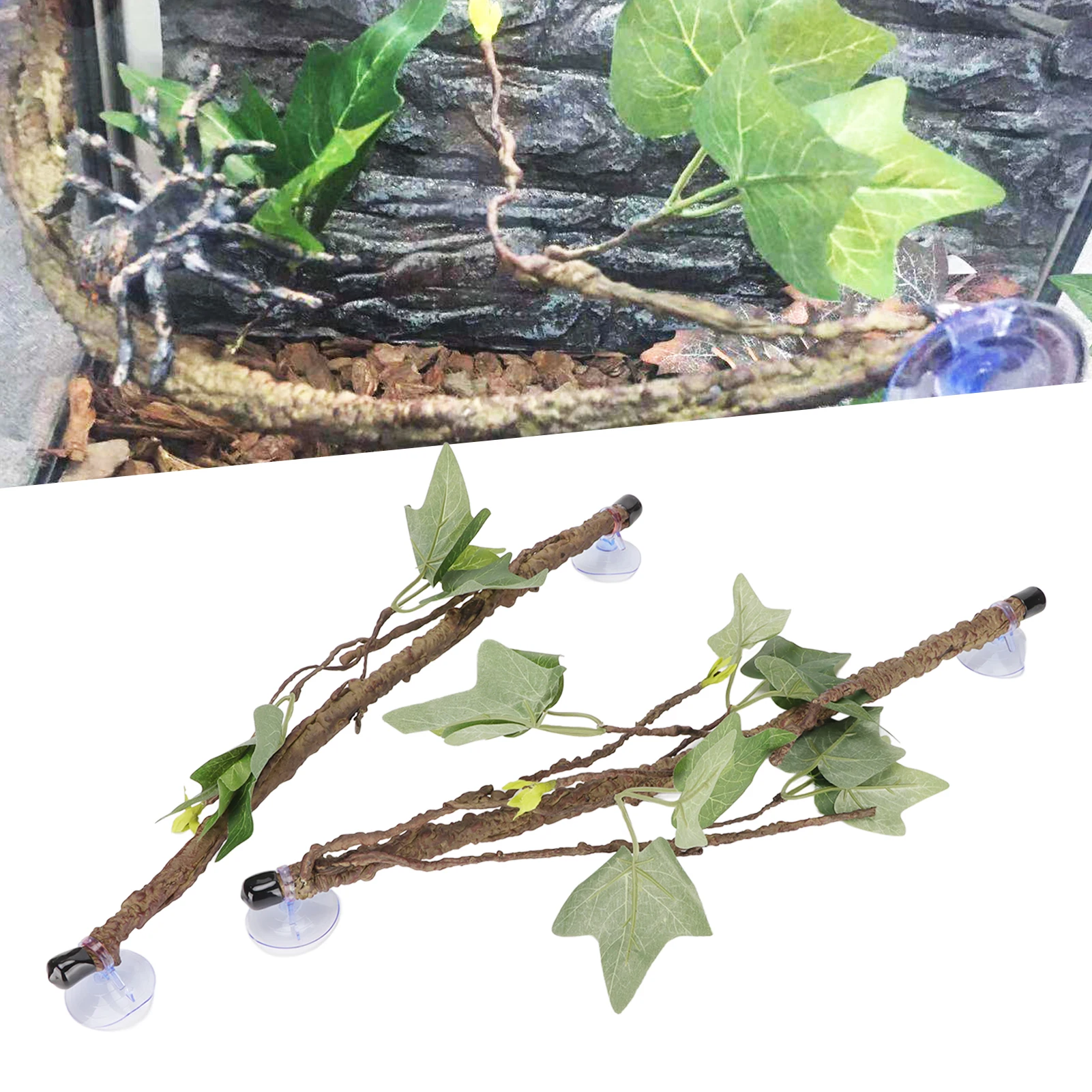 Reptile Corner Branch Terrarium Plant Decoration With Suction Cups For Amphibian Lizard Snake Climbing
Reptile Corner Branch Terrarium Plant Decoration With Suction Cups For Amphibian Lizard Snake Climbing