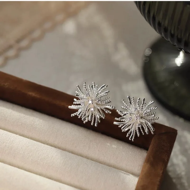 Niche Fashion Three-dimensional Bright Fireworks Earrings Light Luxury High-end Needle Personalized Earrings Earrings Women
Niche Fashion Three-dimensional Bright Fireworks Earrings Light Luxury High-end Needle Personalized Earrings Earrings Women