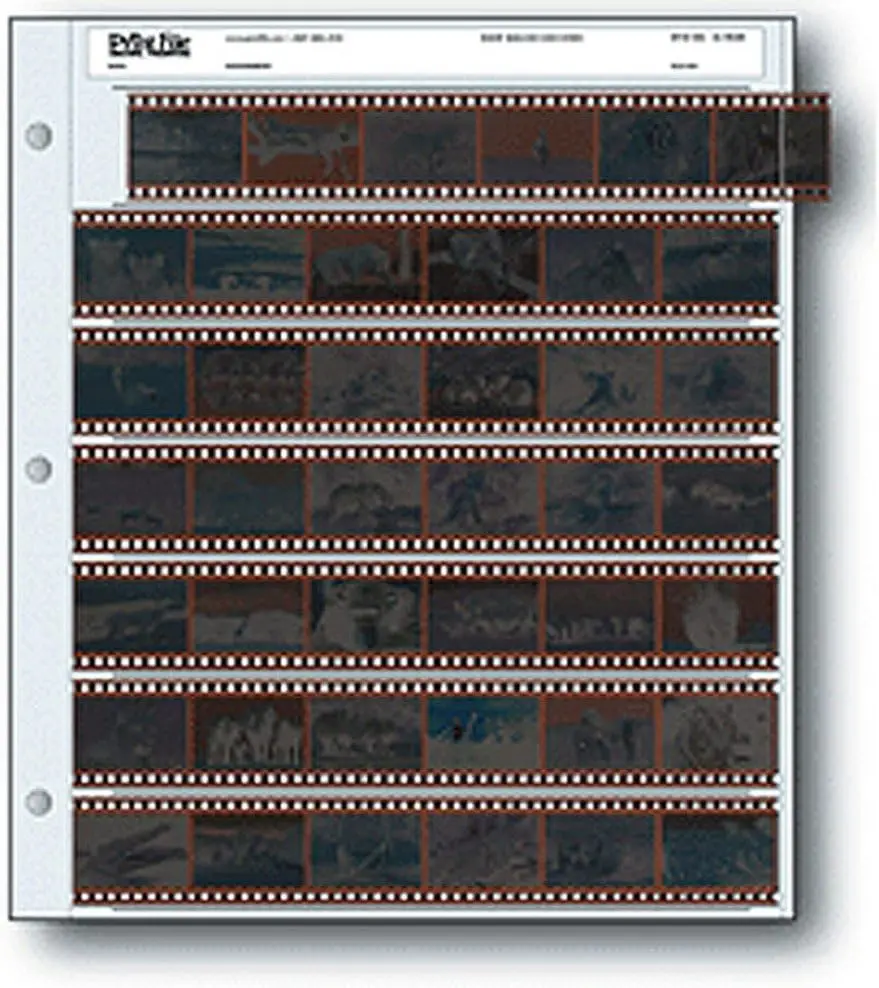 35mm Film Strips Archival Pages, 25 Frames Total, Safe Storage for Negatives
35mm Film Strips Archival Pages, 25 Frames Total, Safe Storage for Negatives