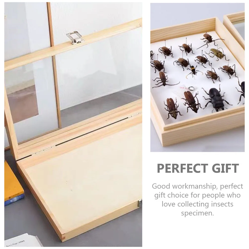 Wooden Specimen Display Box with Clear Cover for Insect and Butterfly Collection Dust-Resistant Storage Case for Small
Wooden Specimen Display Box with Clear Cover for Insect and Butterfly Collection Dust-Resistant Storage Case for Small