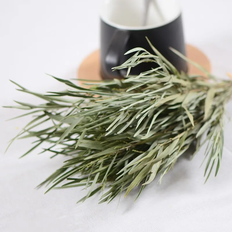 2pcs Natural Plant Branches and Leaves Aroma Candle DIY Wreath Material Home Decoration Arrangement Dry Flower Bouquet
2pcs Natural Plant Branches and Leaves Aroma Candle DIY Wreath Material Home Decoration Arrangement Dry Flower Bouquet