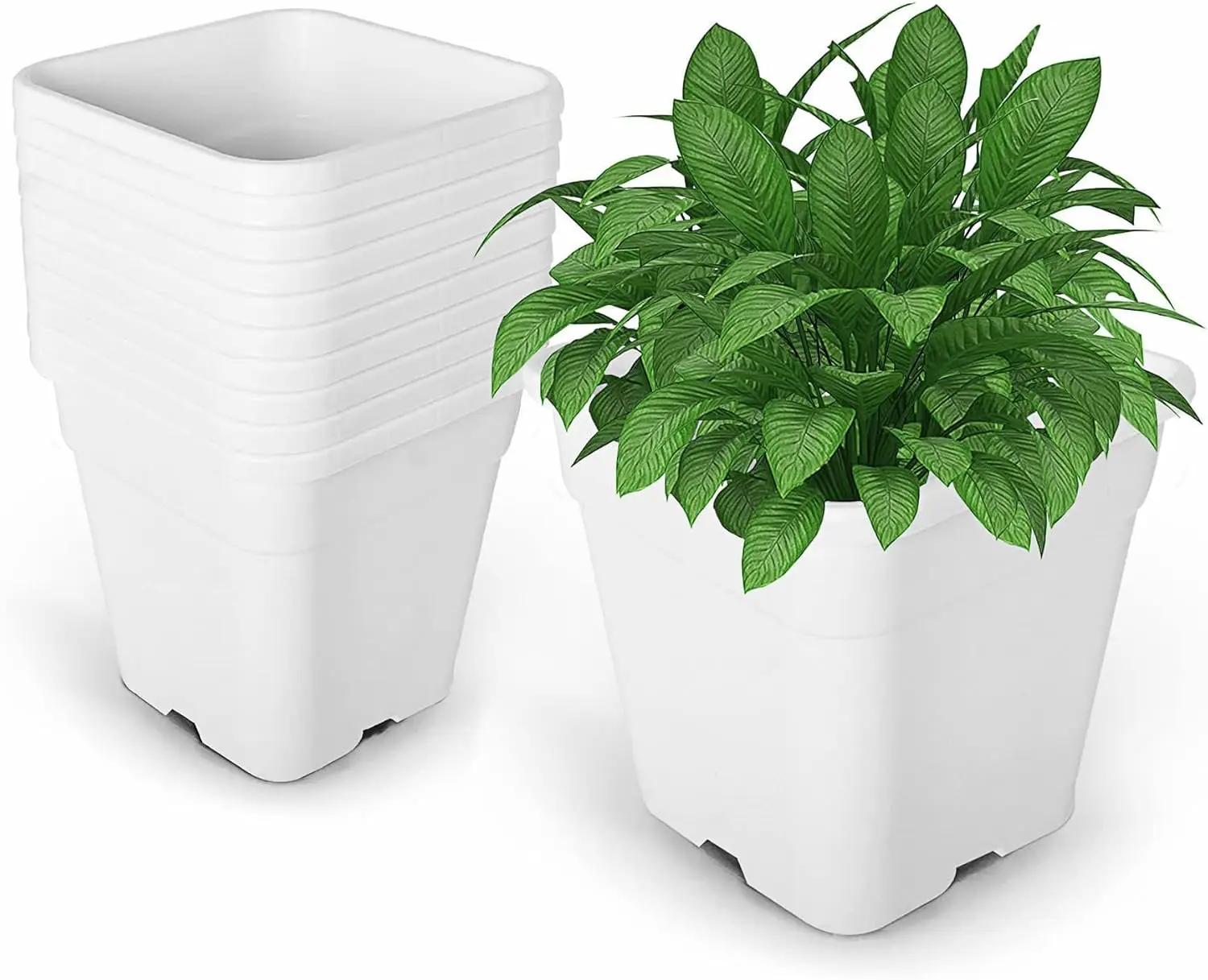 10PCS 3 Gallon Square Durable Planter Nursery Pots, Injection Molded Plastic Plant Container Garden Planter Pots for Ind
10PCS 3 Gallon Square Durable Planter Nursery Pots, Injection Molded Plastic Plant Container Garden Planter Pots for Ind