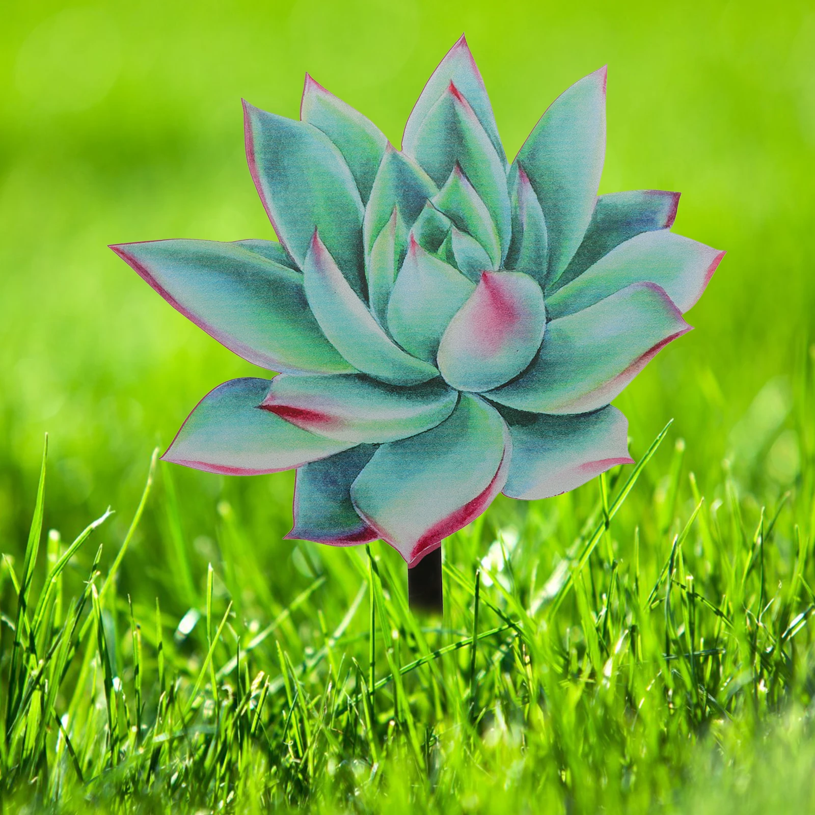 Succulent Lawn Sign Acrylic Garden Stakes Decorative Insert Stake Realistic Patterns DurableOutdoor Succulent Decor L Decor
Succulent Lawn Sign Acrylic Garden Stakes Decorative Insert Stake Realistic Patterns DurableOutdoor Succulent Decor L Decor
