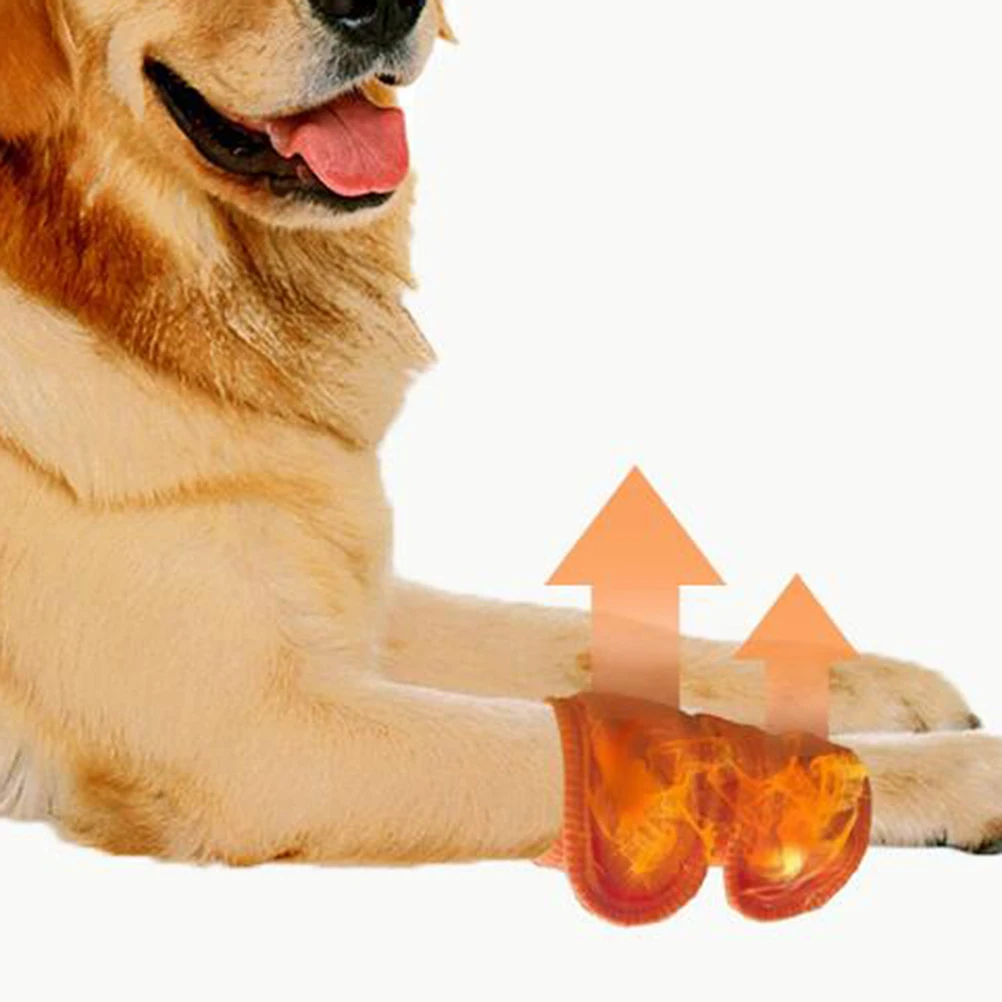 Pet Sleeves Dog Knee Pad Protector Breathable Premium Material Orange Pet Leg Warmer Brace Arthritis Recovery Dog Leg Protectors
Pet Sleeves Dog Knee Pad Protector Breathable Premium Material Orange Pet Leg Warmer Brace Arthritis Recovery Dog Leg Protectors